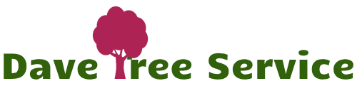 Tree Service Kirkland | 9% Off at Dave Tree Removal